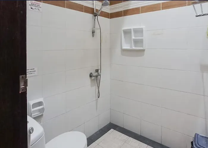 Guest house Denays 3*
